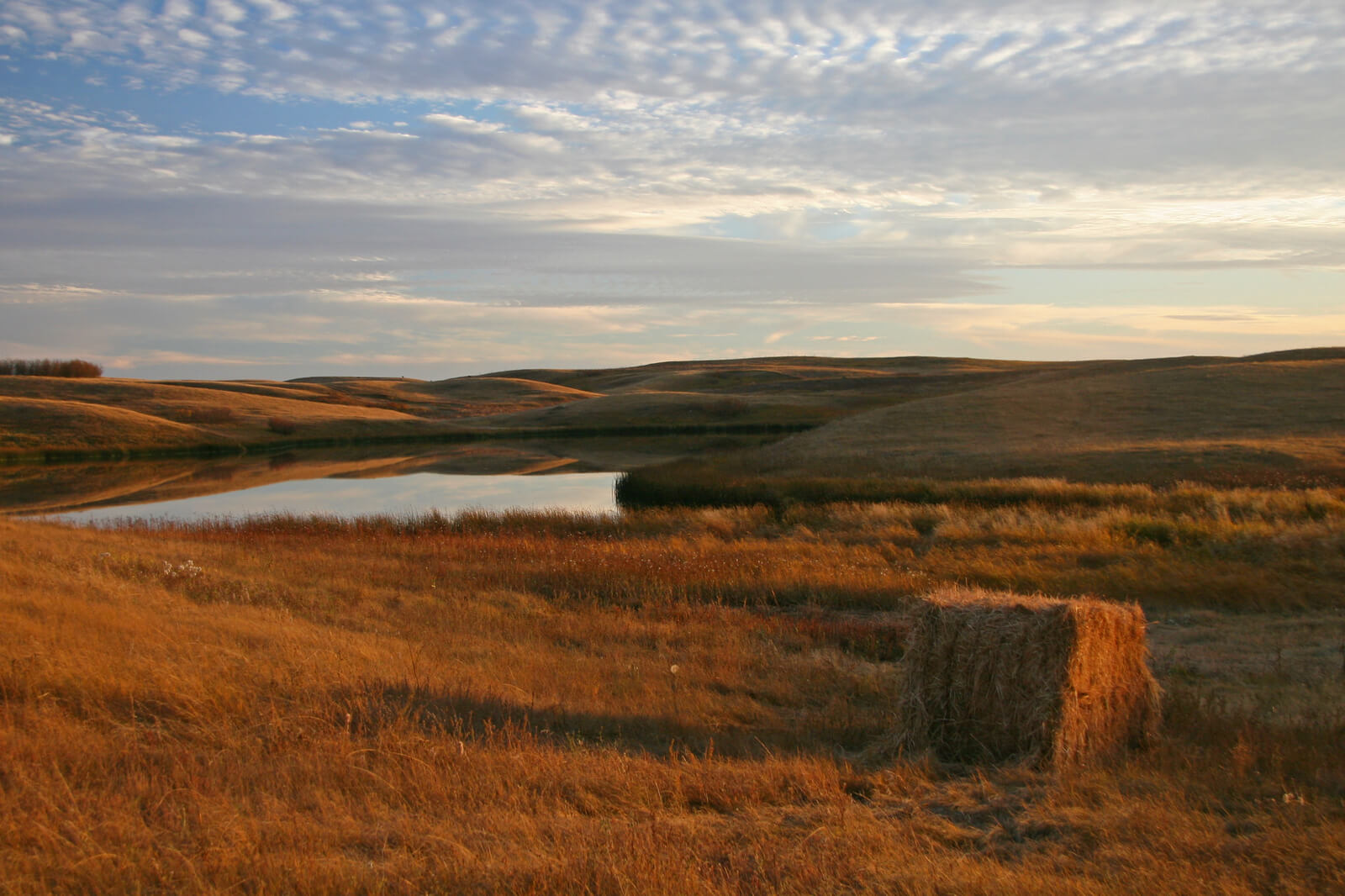 Southern Great Plains Photo