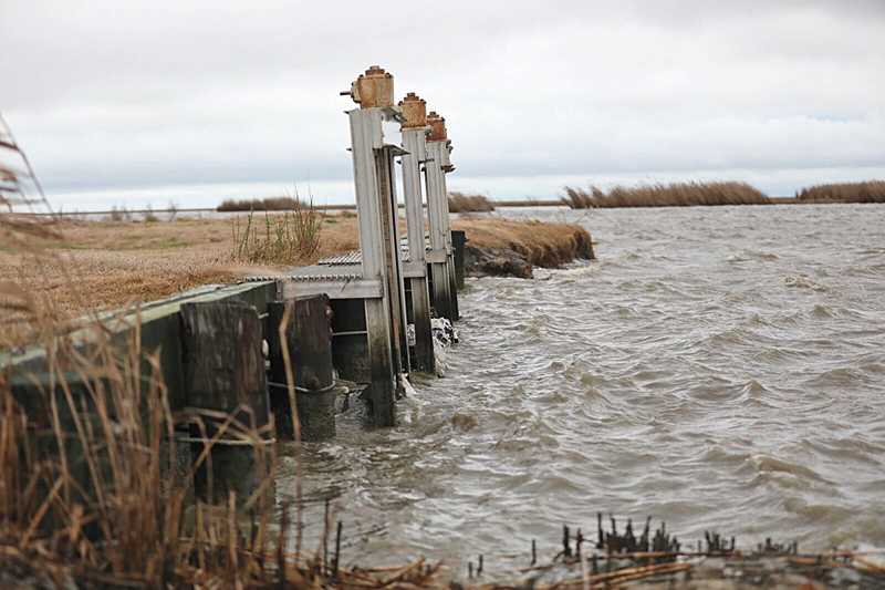 Levels of waterfowl for Chenier Plain photo by Burton Angelle