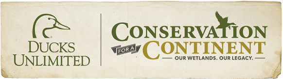 conservation-for-a-continent.png