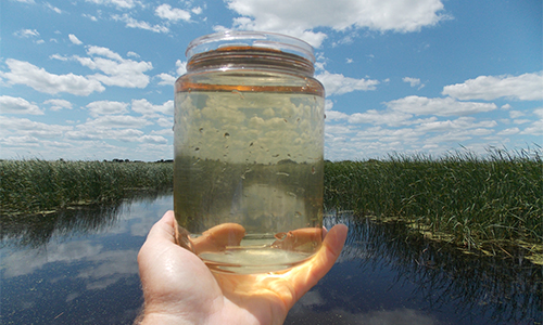clean water 500.jpg