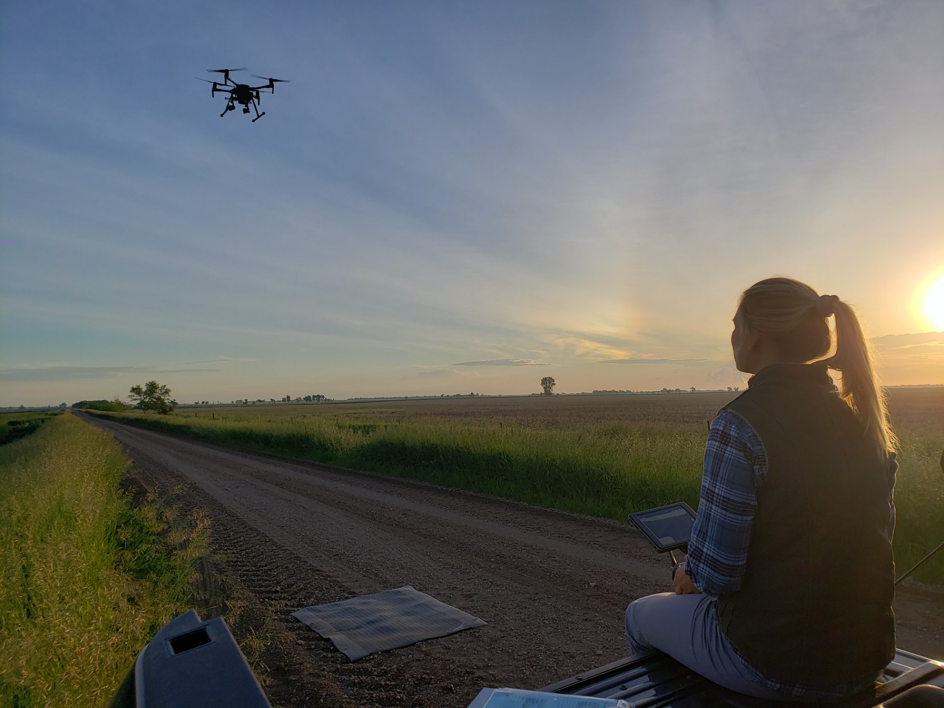 pilot_extending broods.jpg