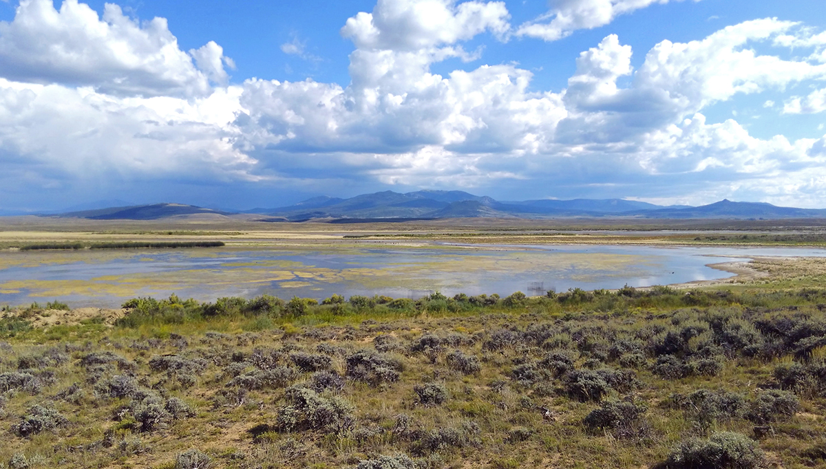 Overview Photo of Wetlands