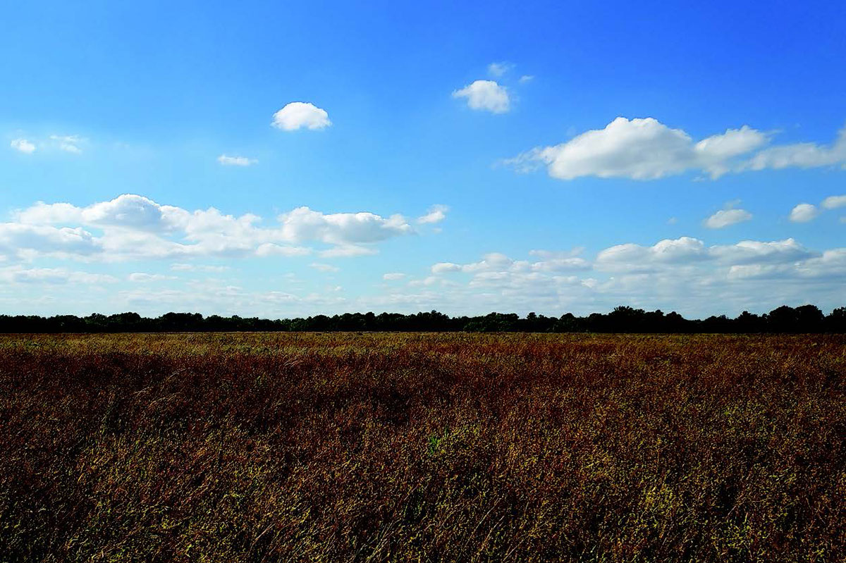 Overview Photo of Kansas Grasslands