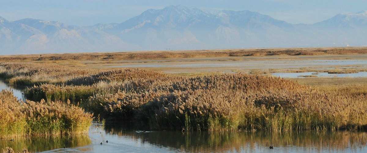 Photo of Bear River 
