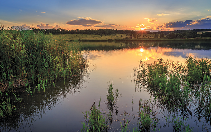 Ducks Unlimited Completes Historic $4.06 Billion Campaign