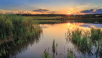 Image for Ducks Unlimited Completes Historic $4.06 Billion Campaign