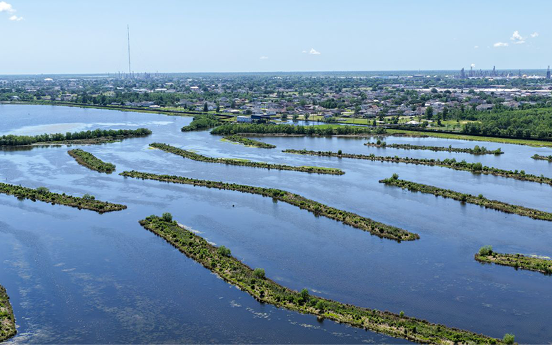 Why Wetlands Should Matter to You