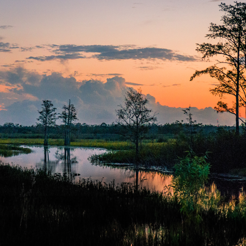 Sunset Over Wetlands