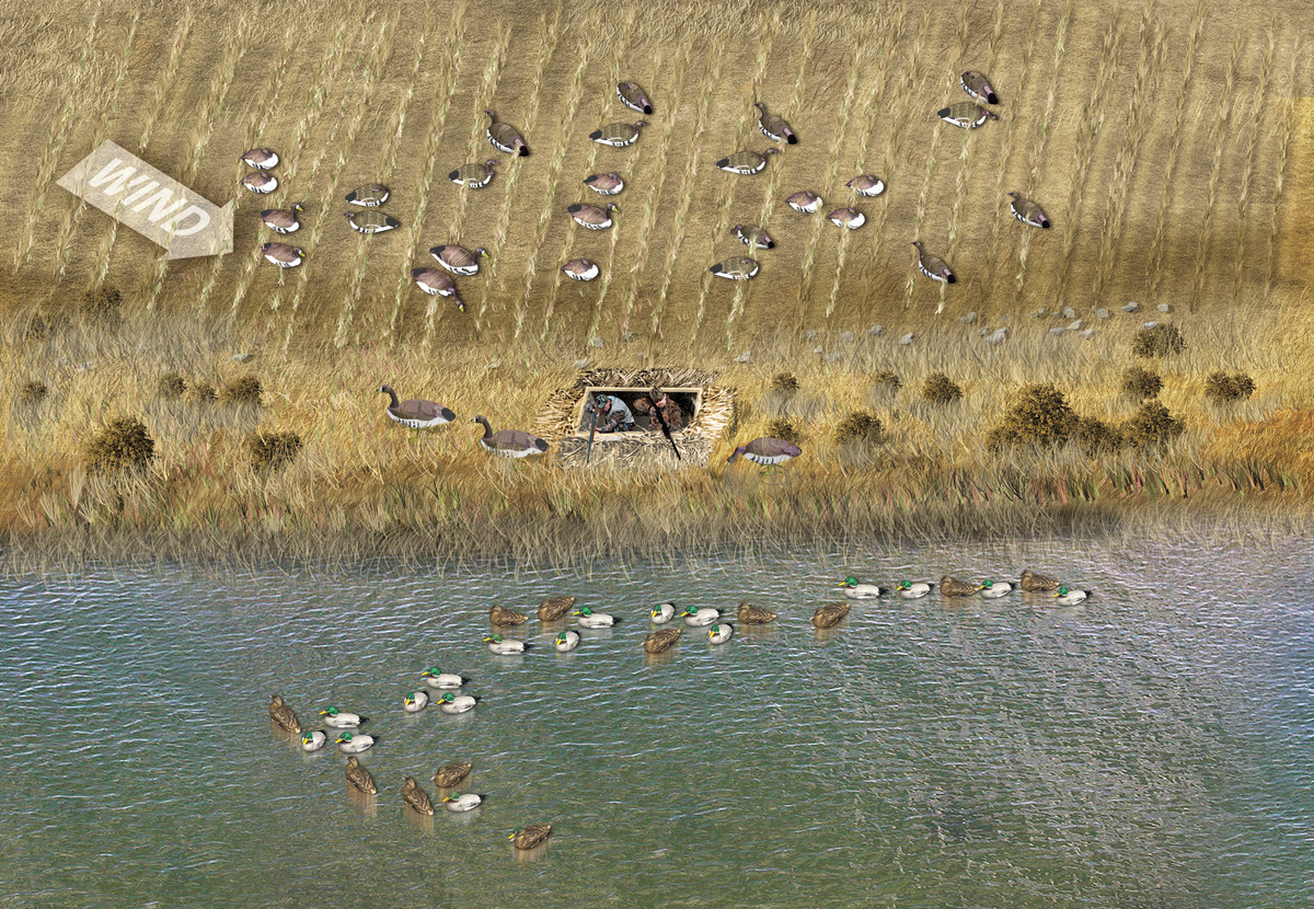 Snow Goose and Speck Hunting
