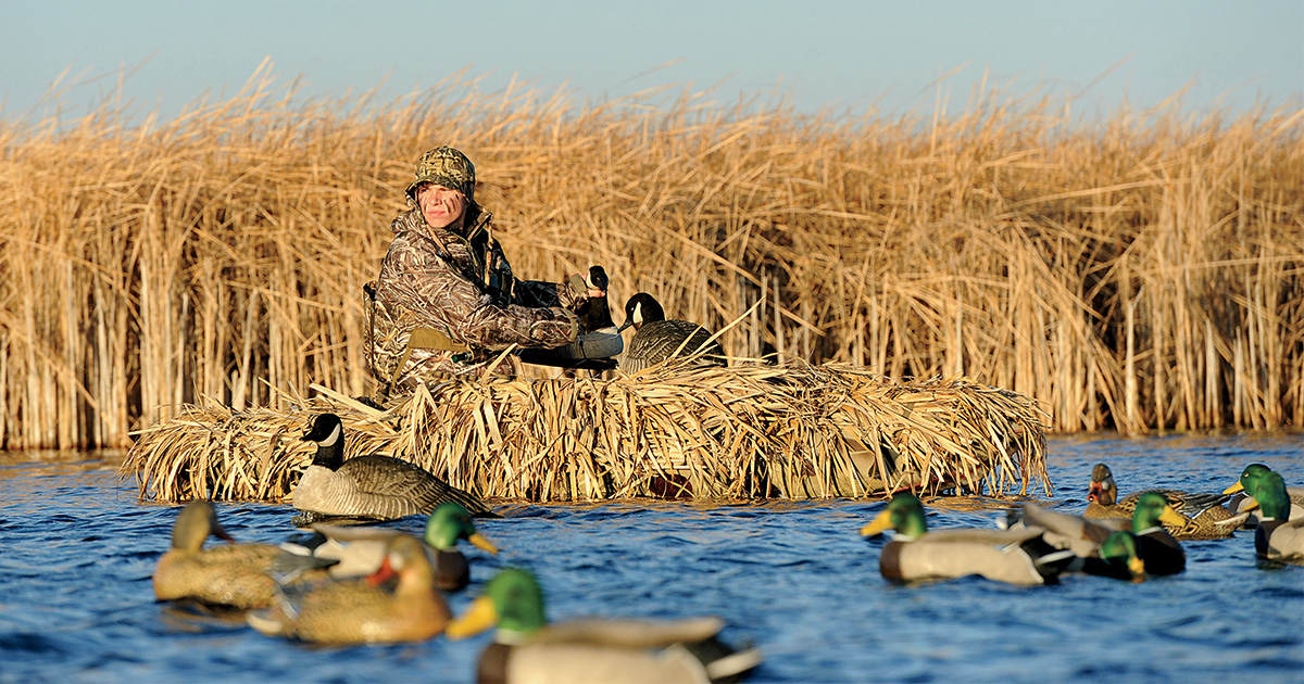 Decoy Basics