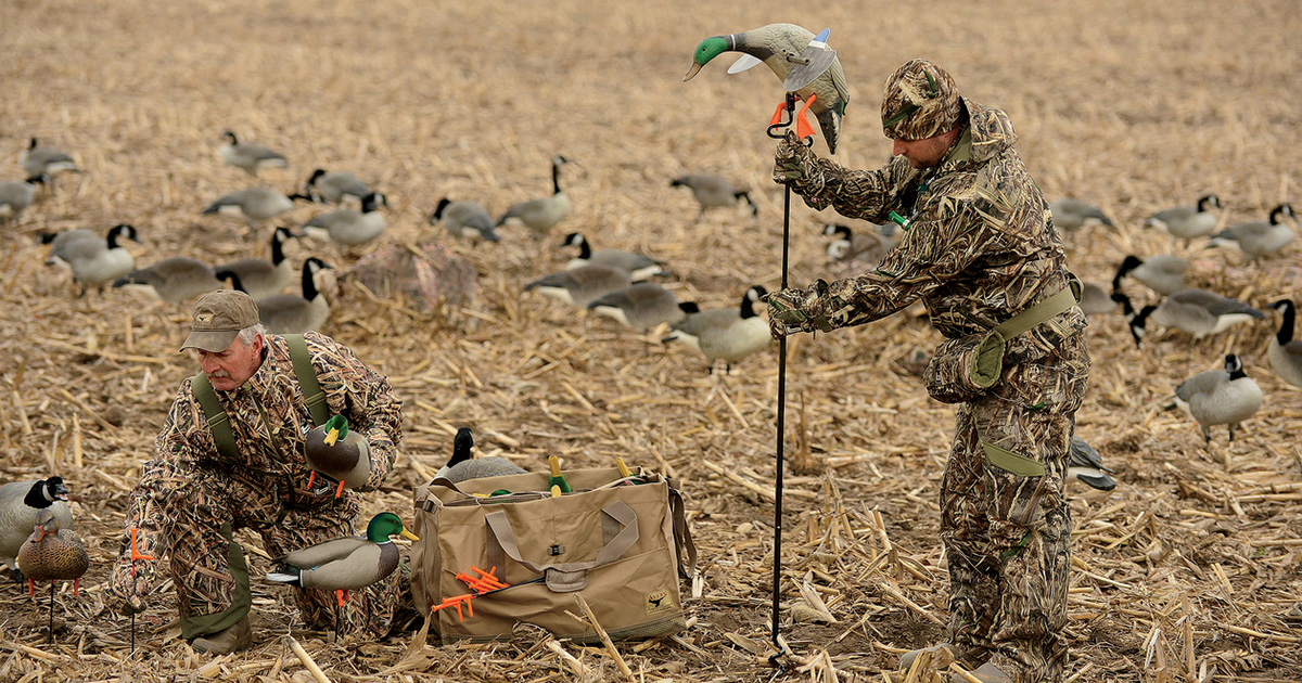 Waterfowl hunter setting up motion decoy in a decoy spread. By Travis Mueller Avery Outdoors_Motion decoy.jpg