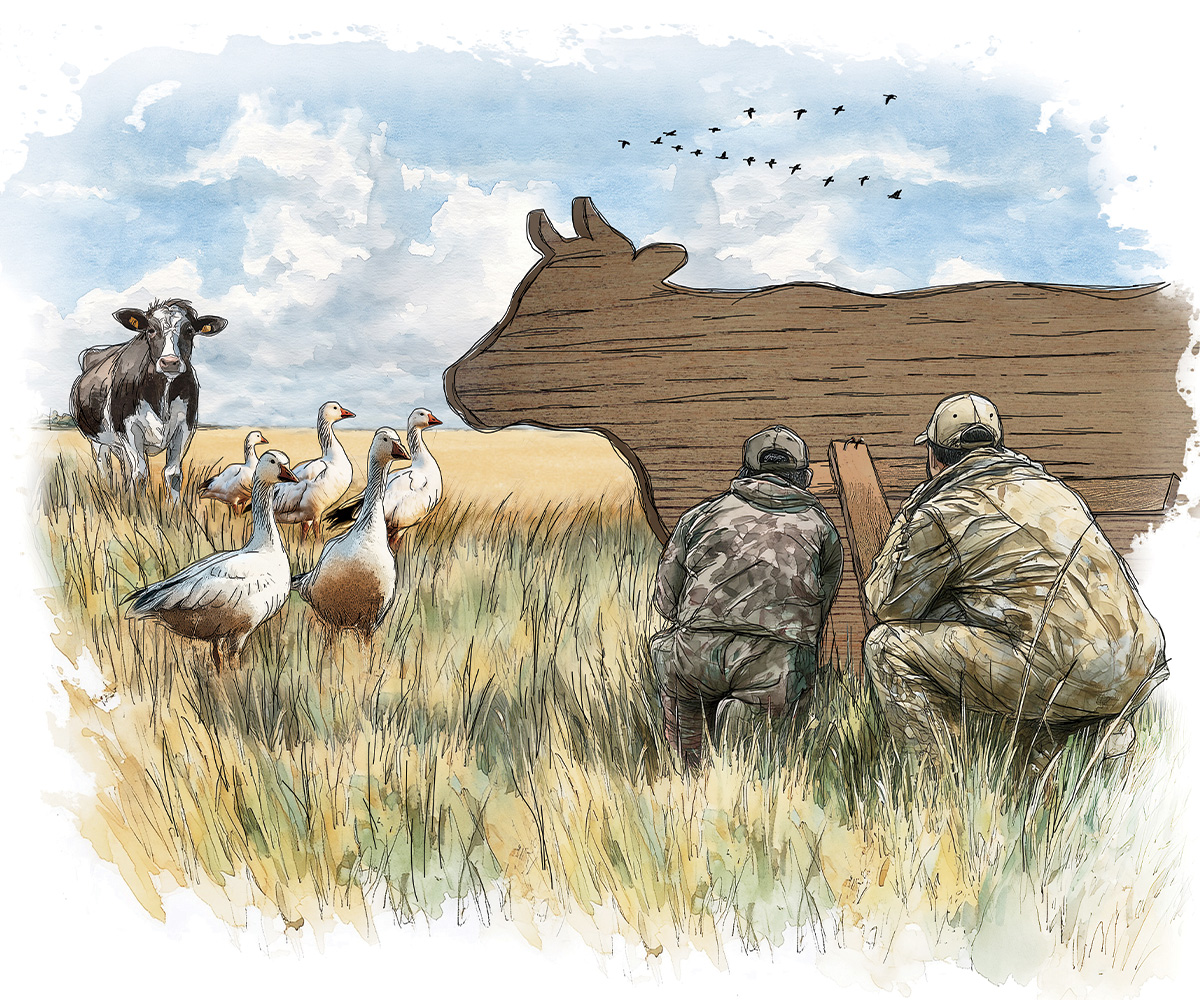 The Cowboy. Illustration by John Denney