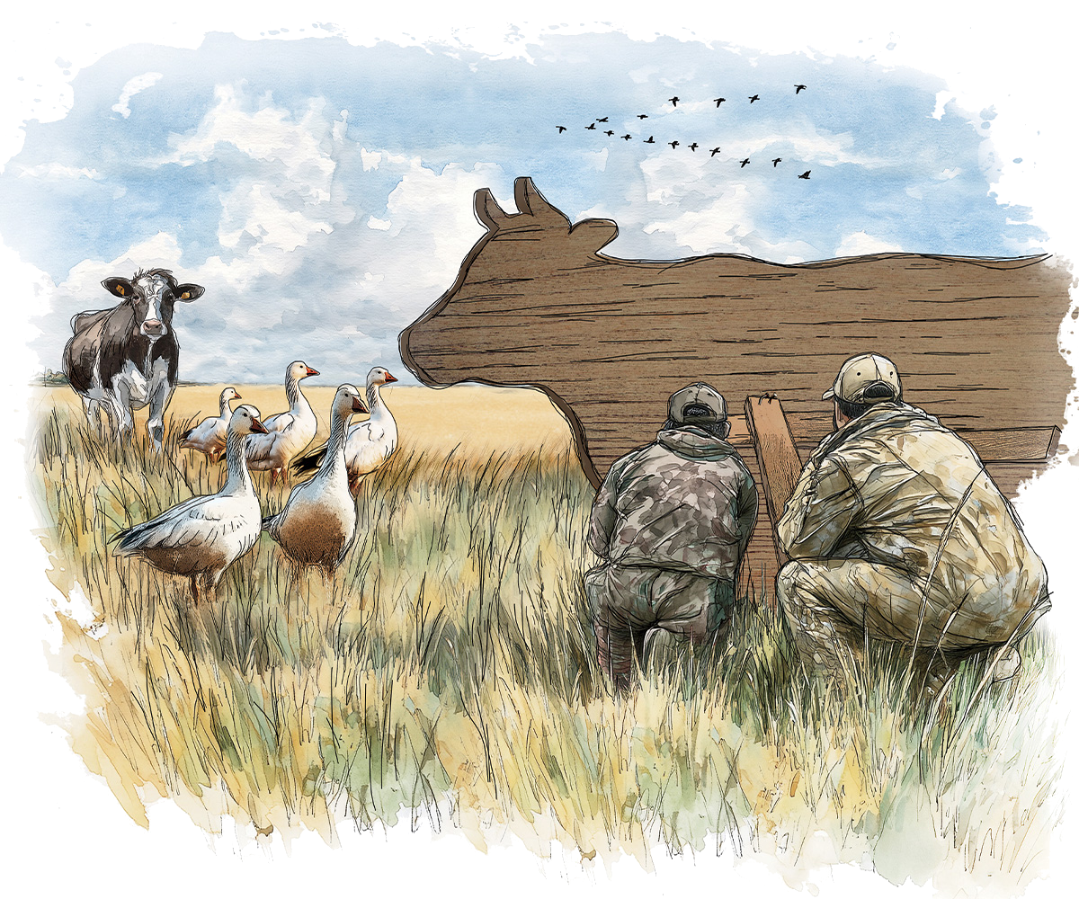 Decoys and the Characters Who Use Them