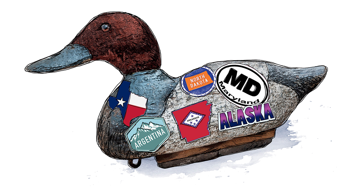 Decoys and the Characters Who Use Them
