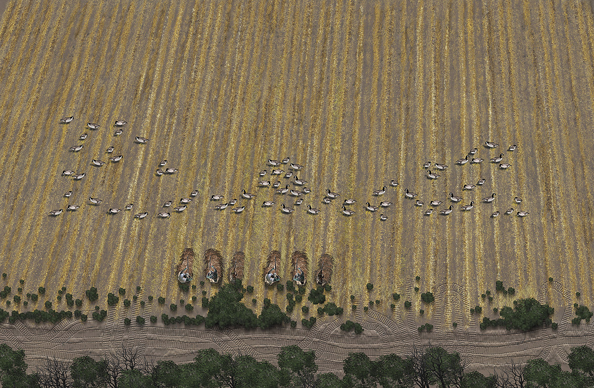 2-tolliver-early-canada-goose-spread.jpg