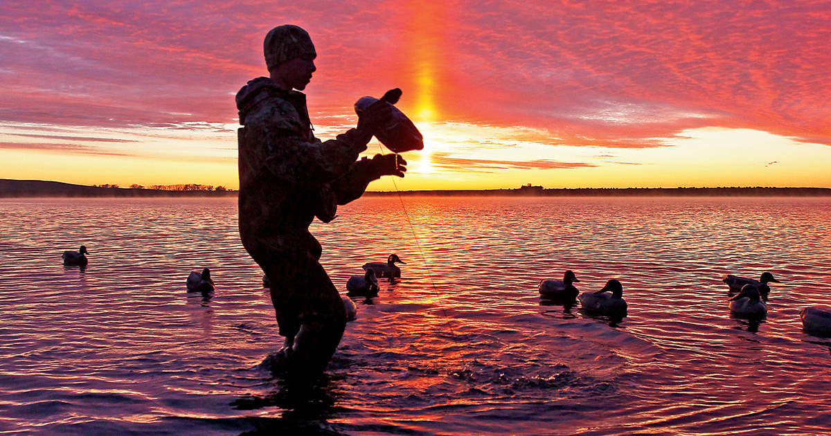 Image for Great Decoy Debates
