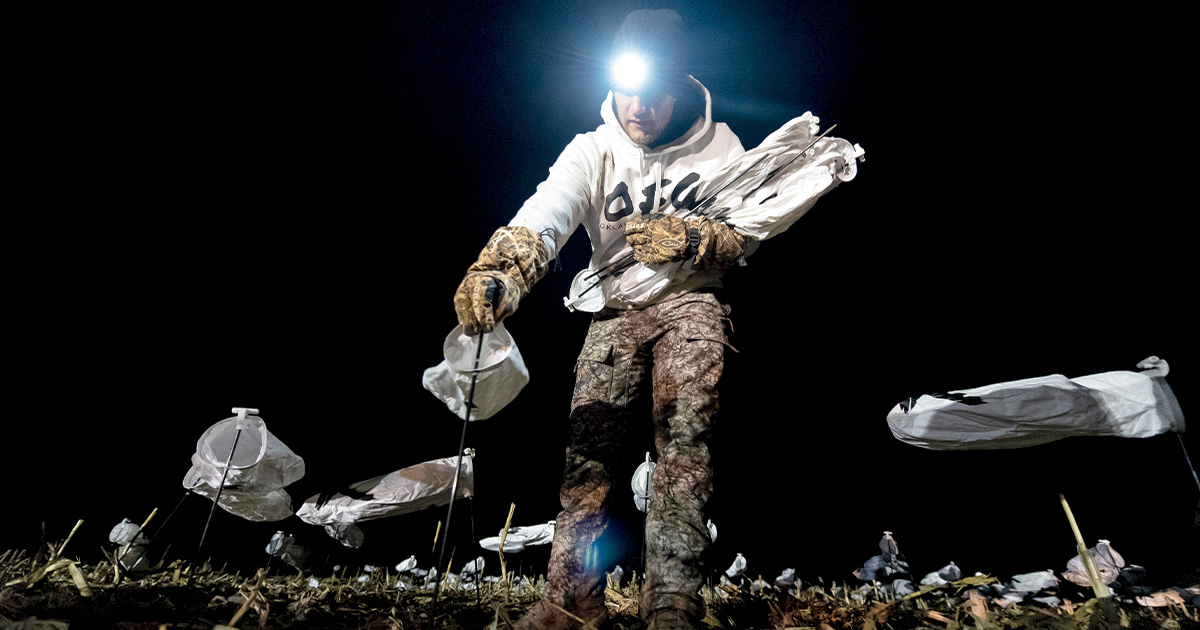 Waterfowler's World: Small-Spread Snows