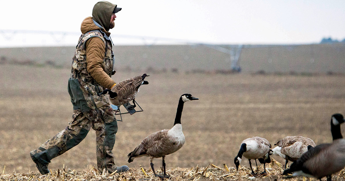 Waterfowler's World: The Real Deal