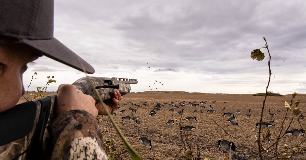 Hunter taking aim on incoming waterfowl. Photo by Chris Jennings, DU