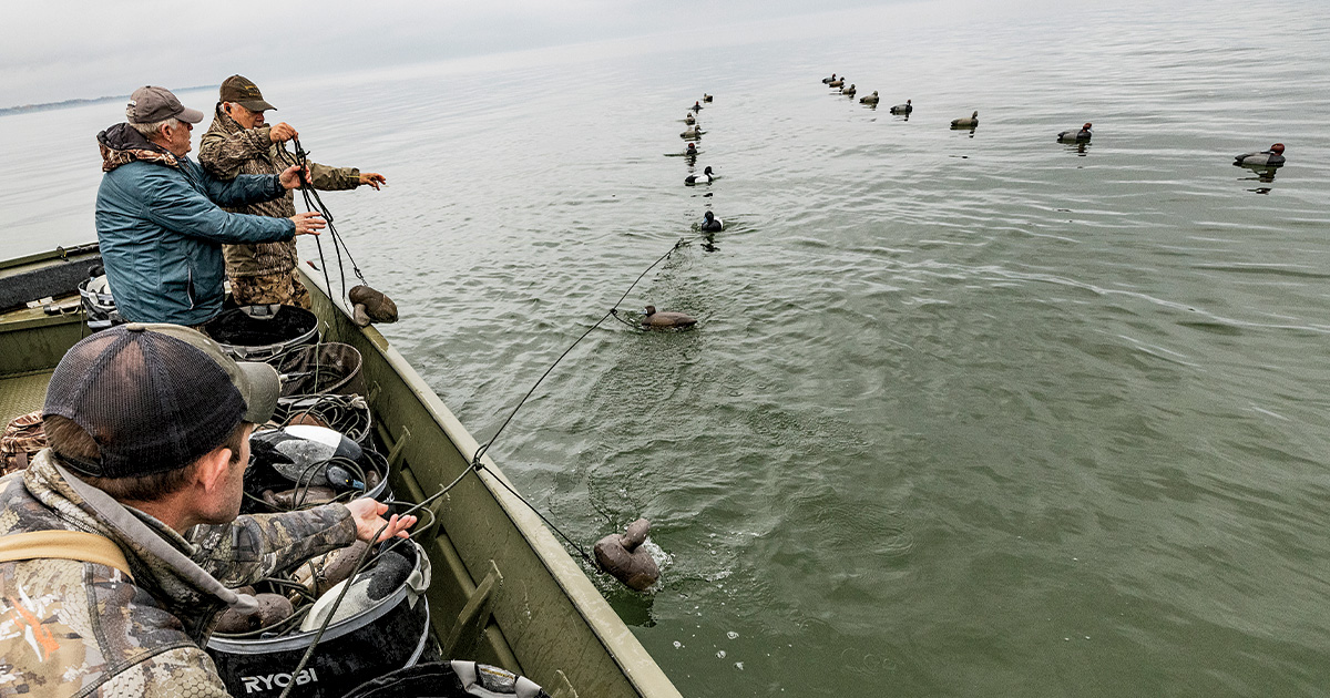 Duck hunters setting out decoys. Photo by Tom Martineau