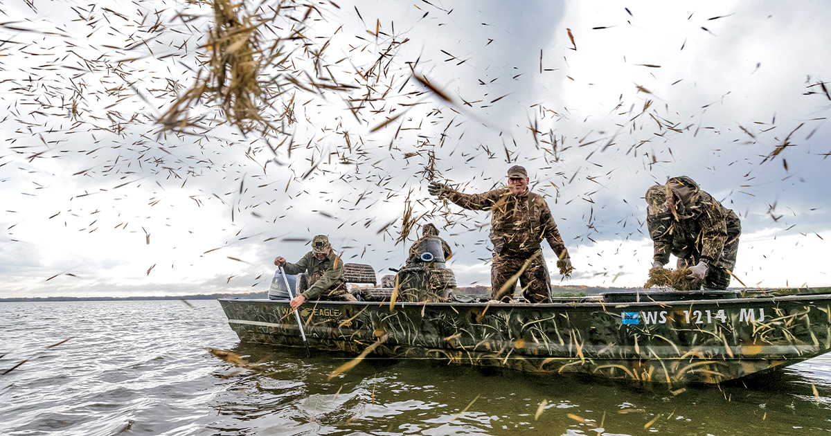Duck hunters scattering wild rice into bay. Photo by Tom Martineau