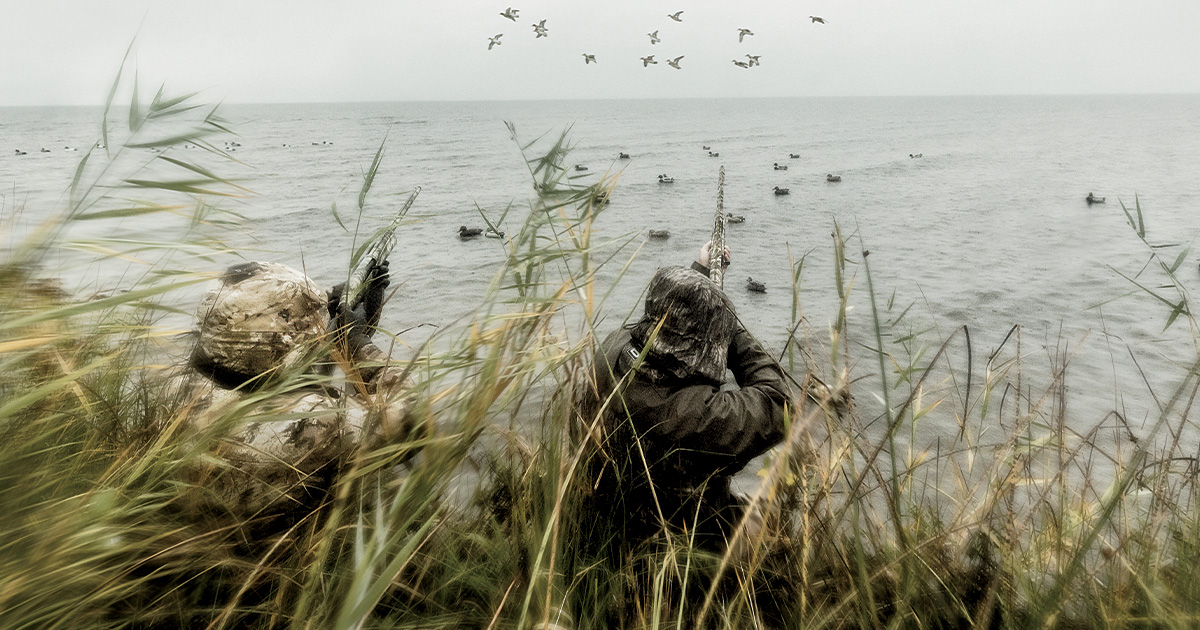 Ducks hunters in blind during a morning hunt.Tom Martineau.jpg