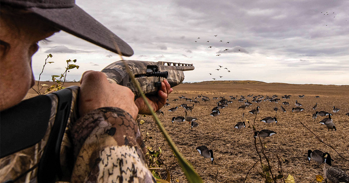 Early-Season Destinations: Four Prairie Waterfowling Hotspots