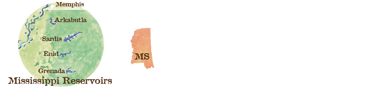MR_MS.jpg