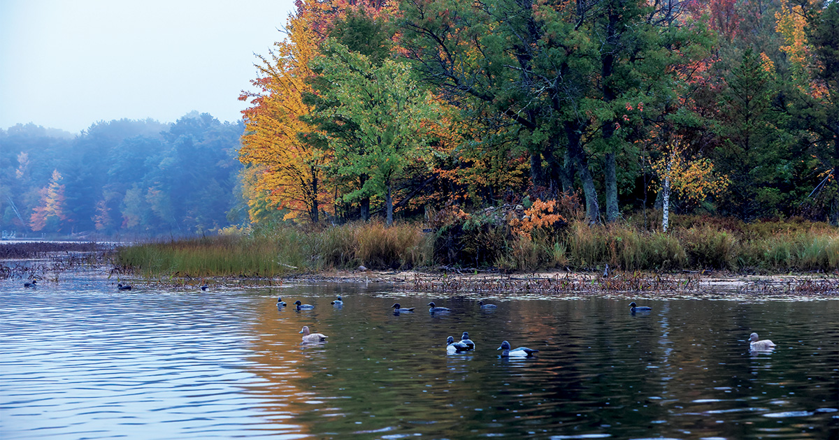 MacQuarrie Country