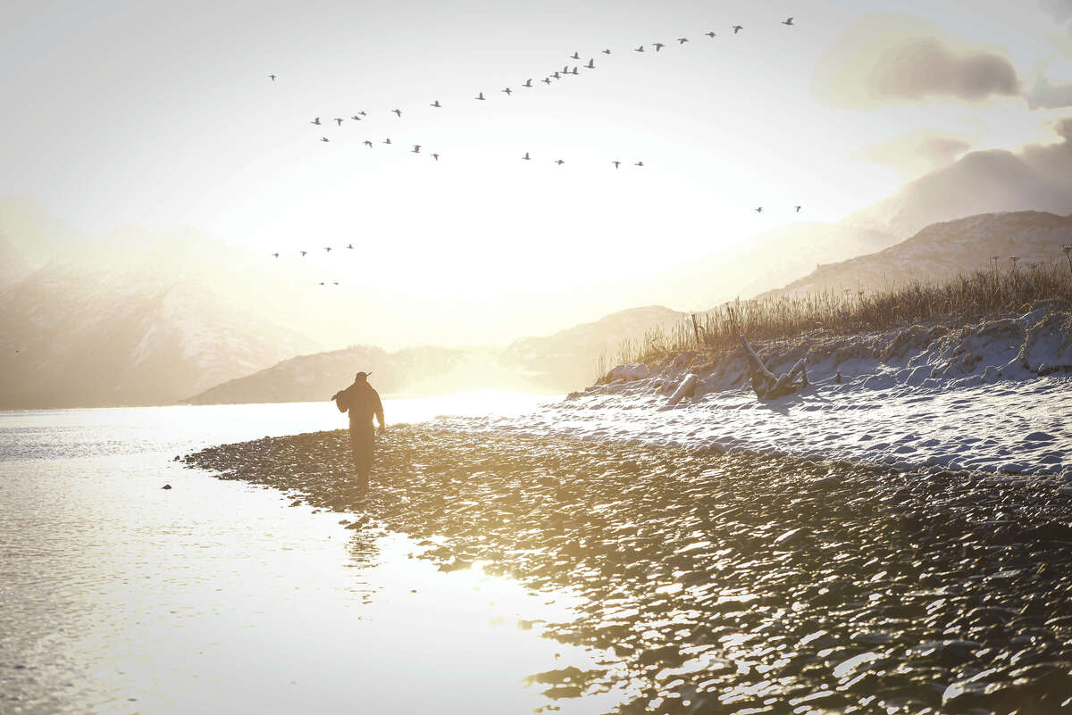 Northern Flights