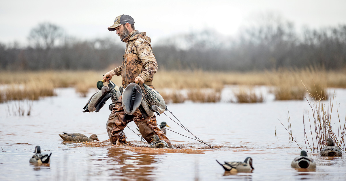 Pointers for Public Ducks