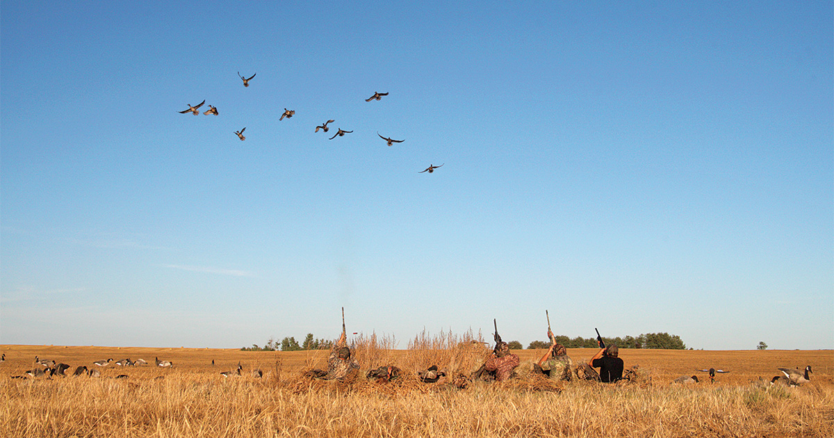Waterfowl hunting in layout blinds. Photo by GaryKramer.net