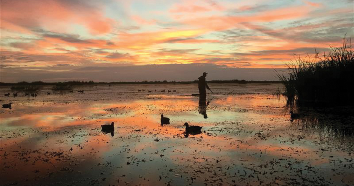 Duck Hunting the Sunshine State