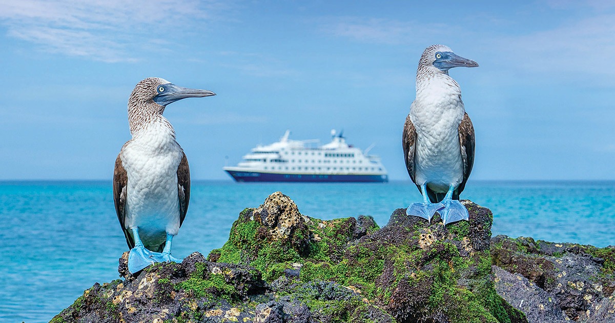Photo courtesy of National Geographic-Lindblad Expeditions