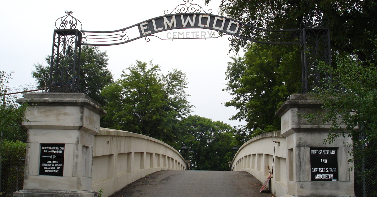 Elmwood (1).jpg