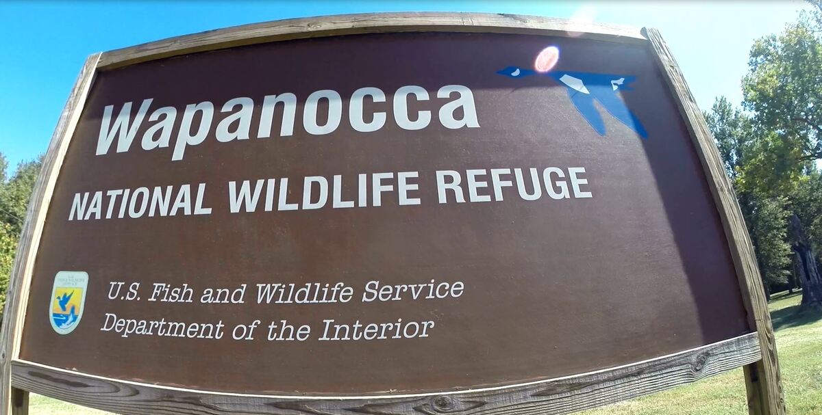 Wapannocca_NWR.JPG