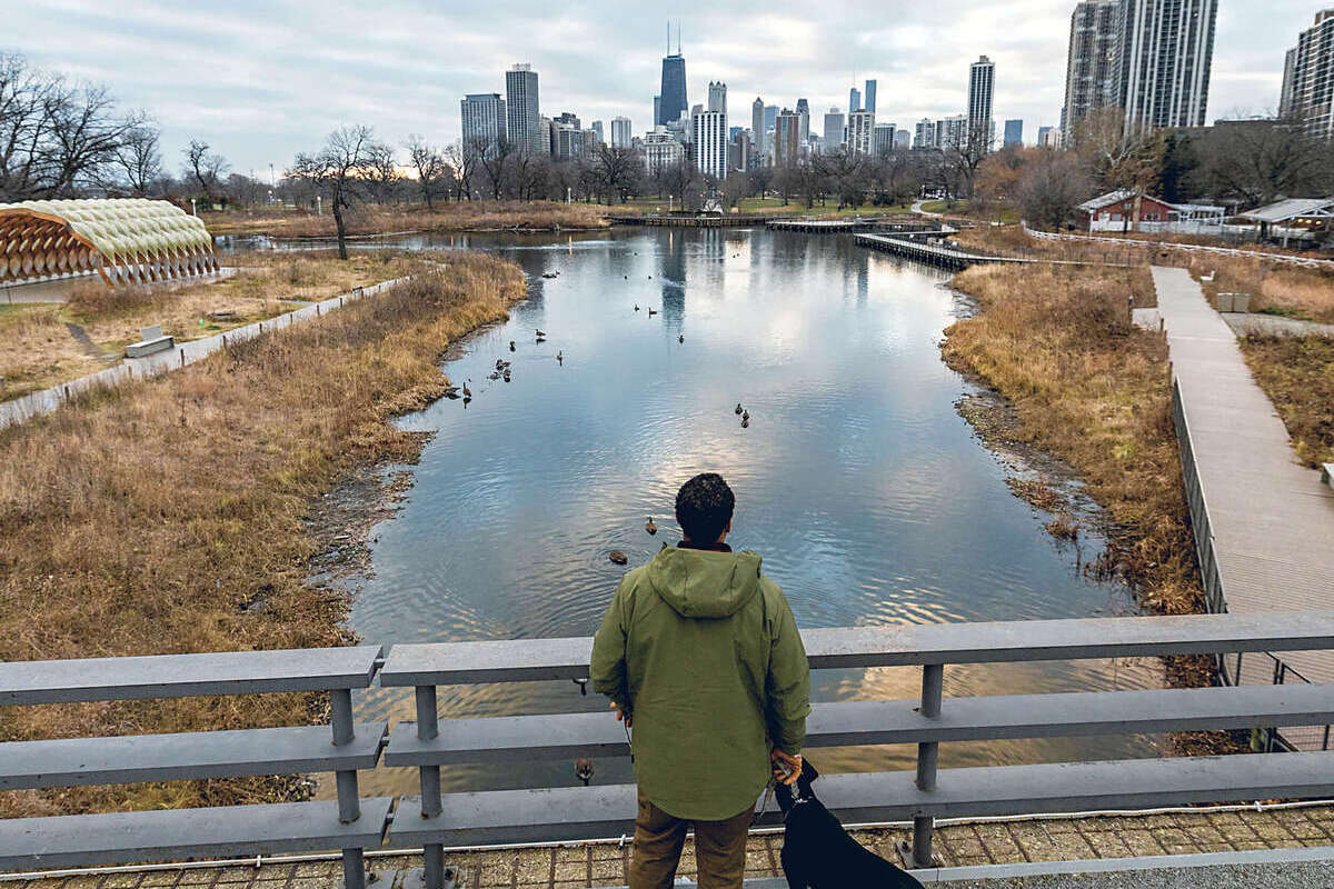 Unleashed in Chicago