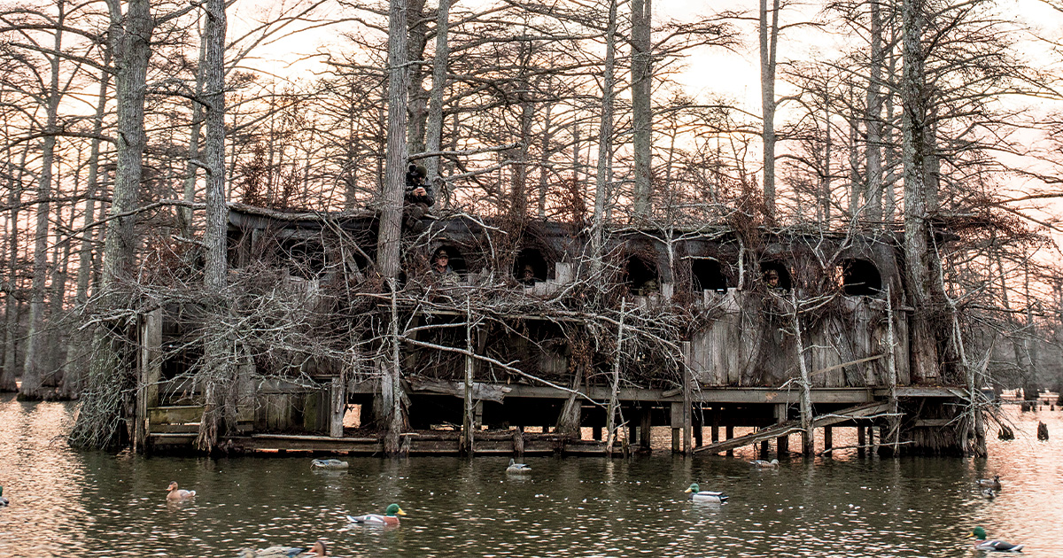 Waterfowler's Journal: Bo Whoop Comes Home