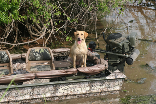 DIY duck blind dog stand