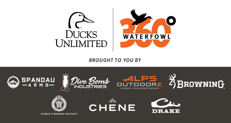 Sponsors