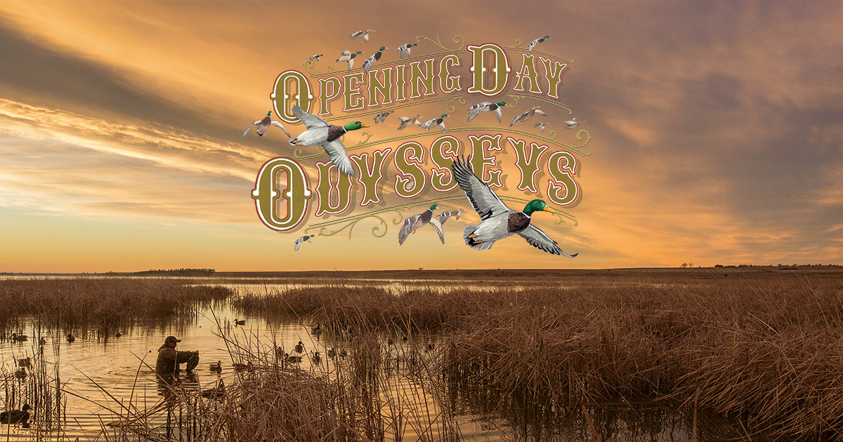 Opening Day Odysseys