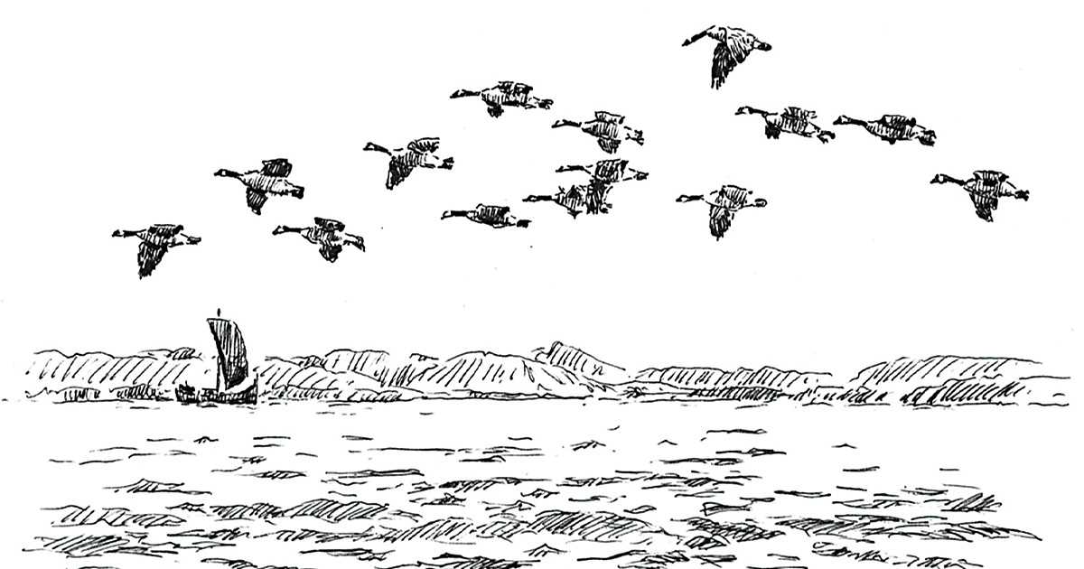 Image for The Viking Gander