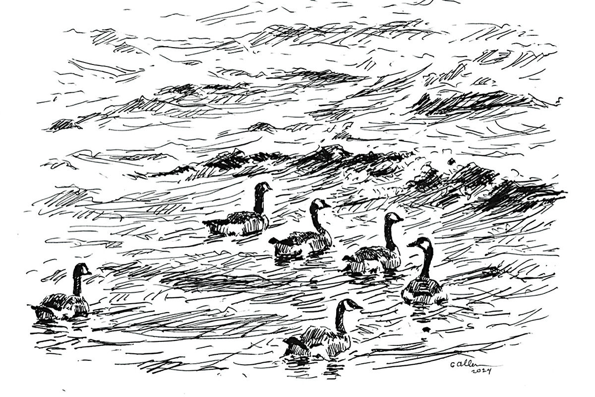 Gordon Allen illustration 