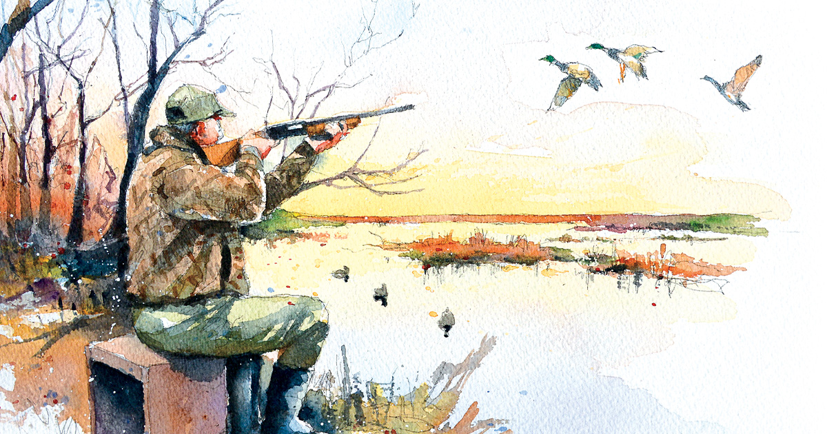 Welcome to Duck Camp