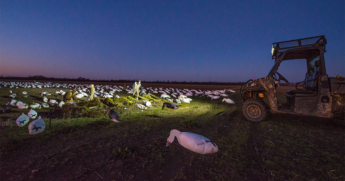 5 Tips For a Better Spring Snow Goose Season