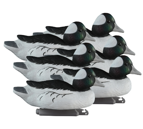 Higdon Buffleheads.png