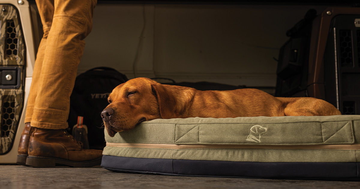 Gunner Homestead Dog Bed