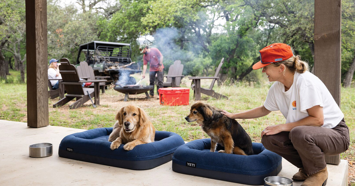 Community News: YETI's Boomer Dog Bed is Back