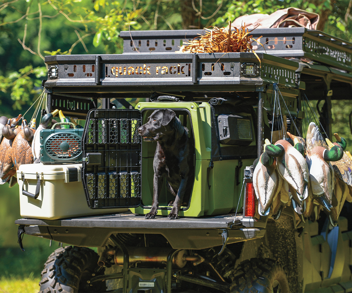 Waterfowling Rig w Retriever.jpg