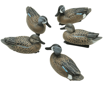 Dive Bomb F1 Blue Winged Teal.png